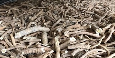 剖析干燥设备怎么选型？